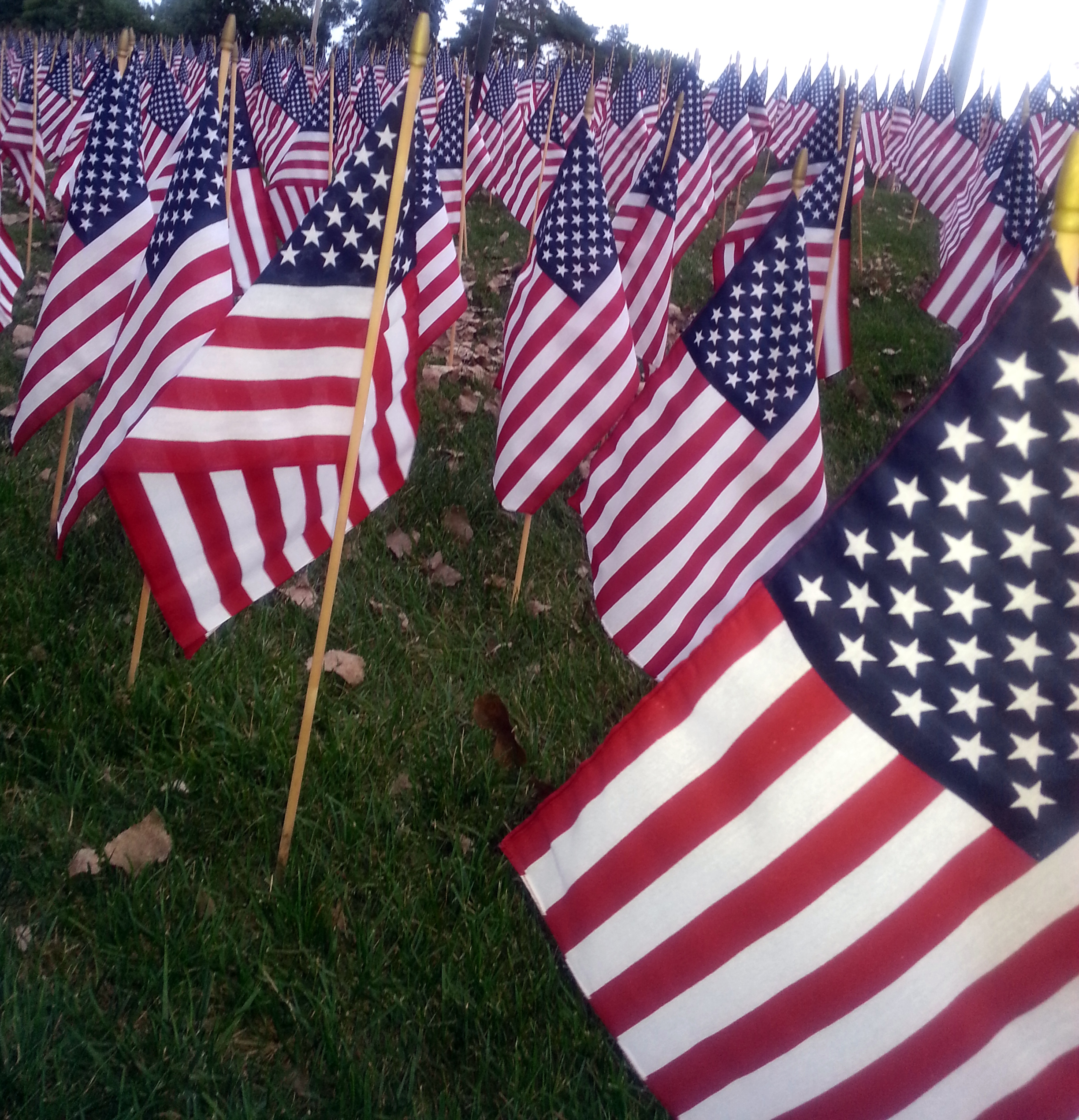 Flags